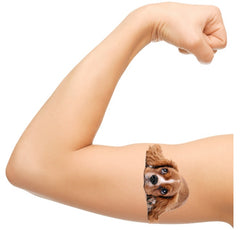 Spaniel Dog  Temporary Tattoos