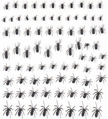 Spider Nail Stickers