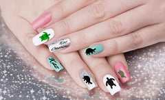Turtles Tortoise Nail Art