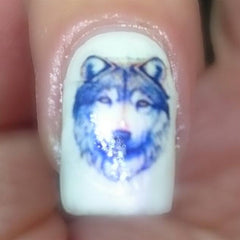 Wolf Nail Art Decals